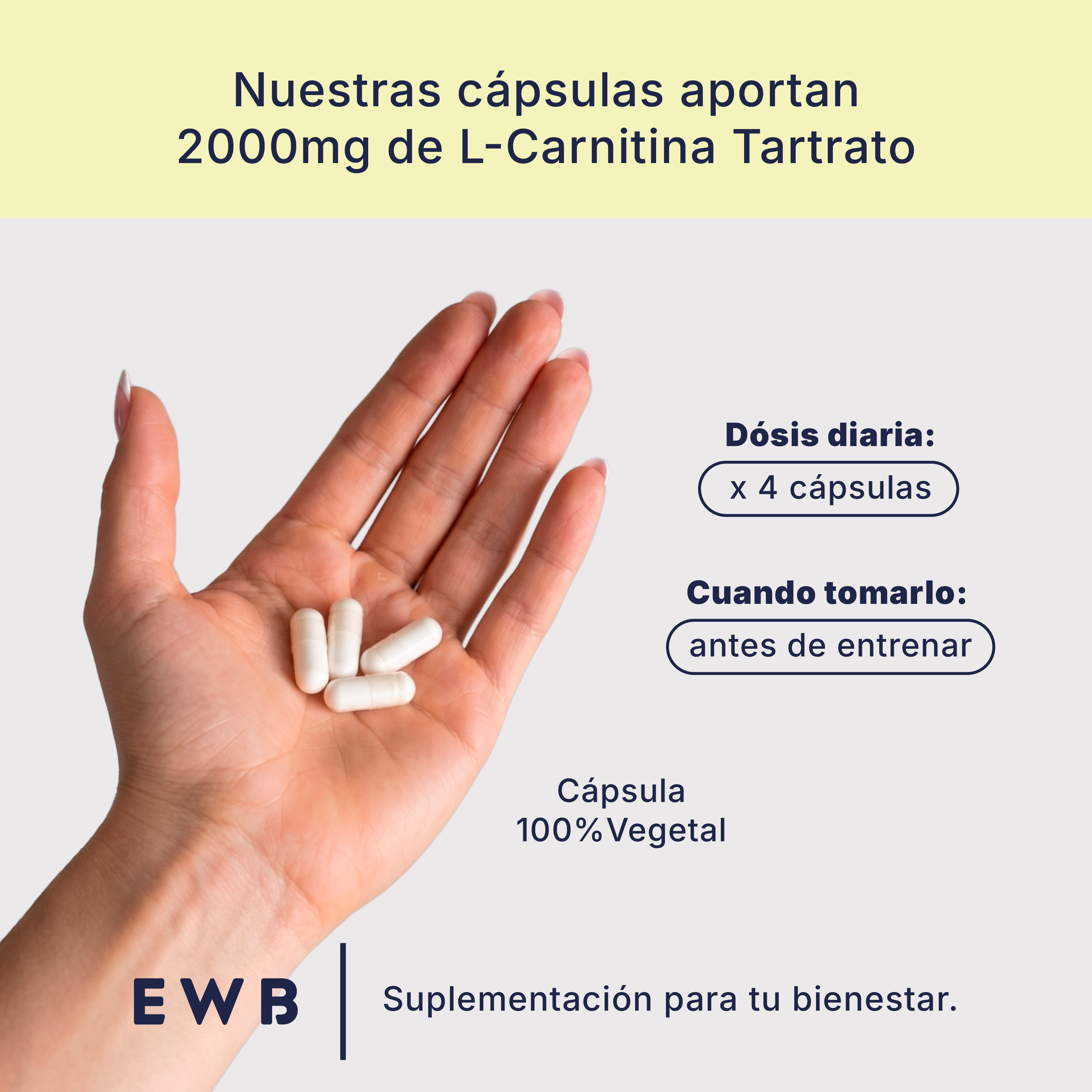 L-Carnitina